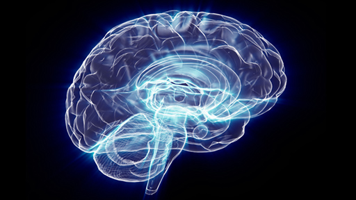 BrainWire