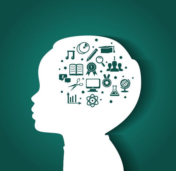 Brain-development