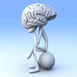 brain
